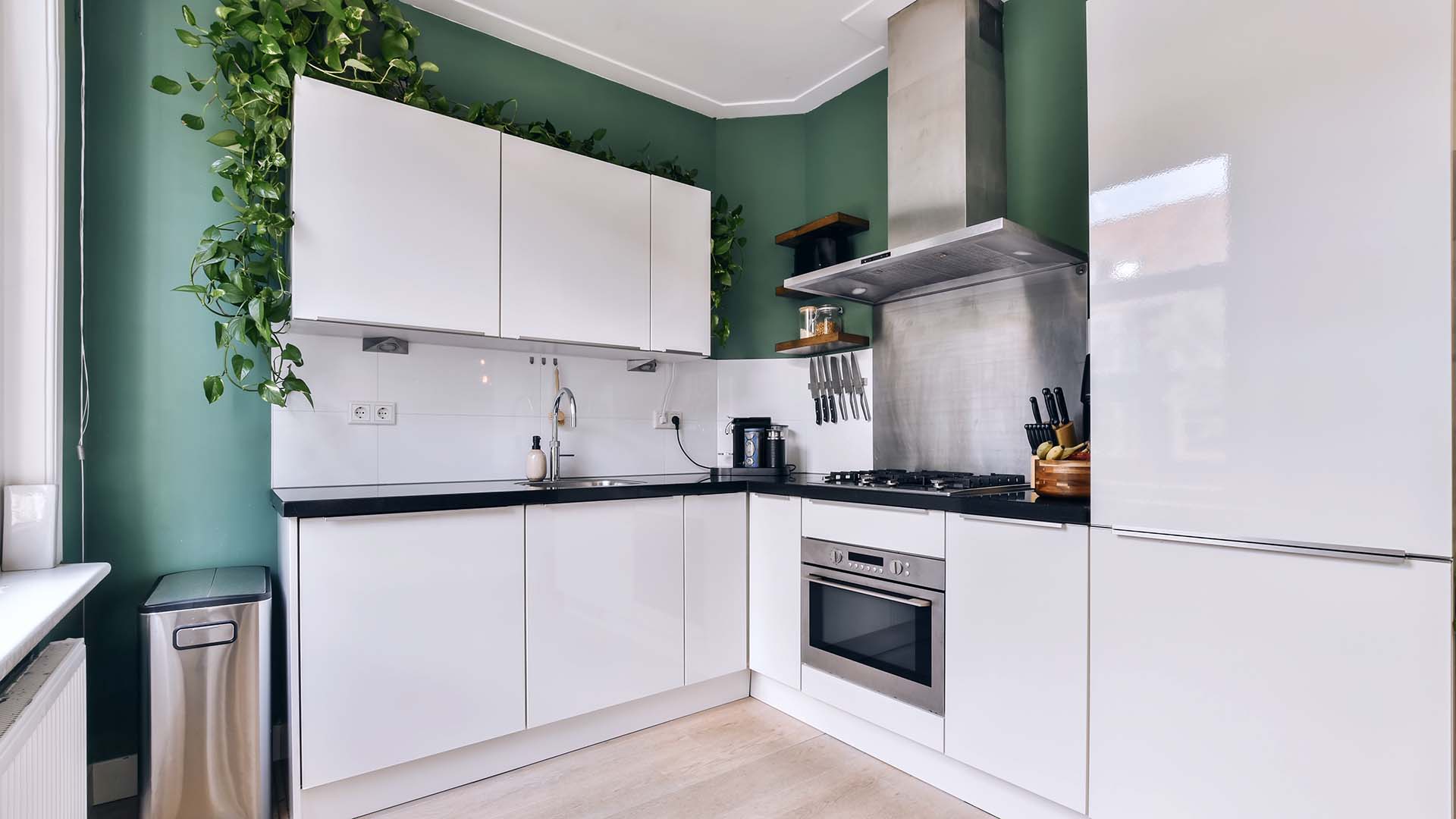 a white kitchen with white cabinets and green walls